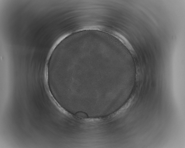 X0000111160804200907141400