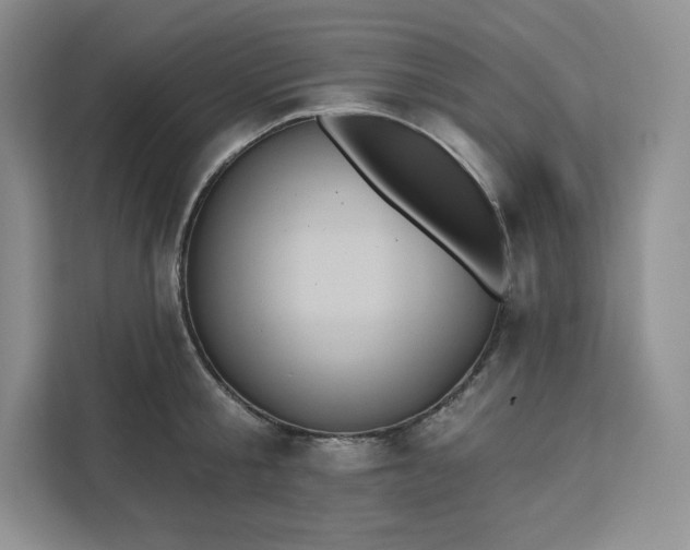 X0000111160805200907141400