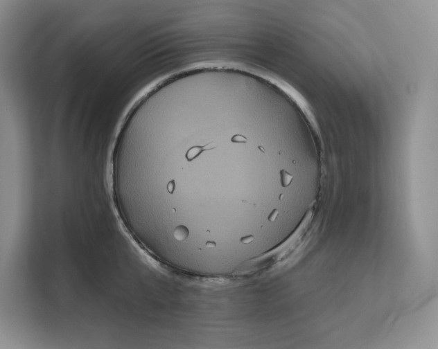 X0000111160807200907141400