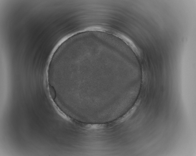 X0000111160808200907141400