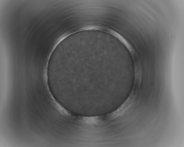 X0000111160810200907141400