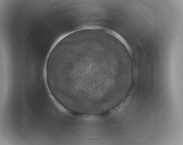 X0000111160811200907141400