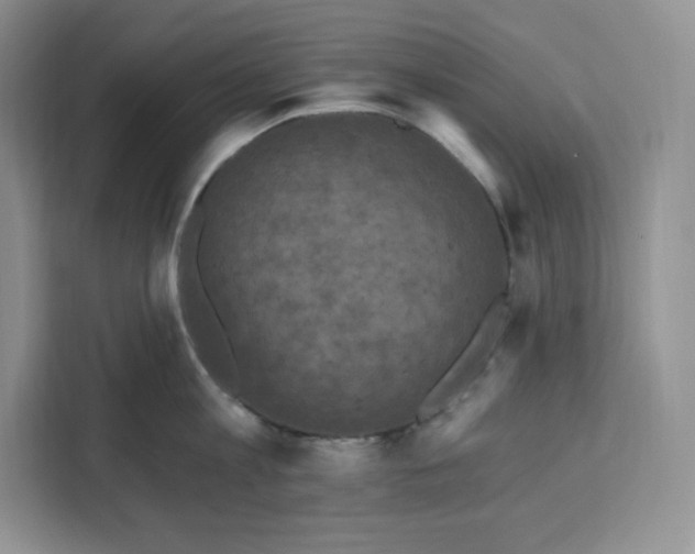 X0000111160813200907141400