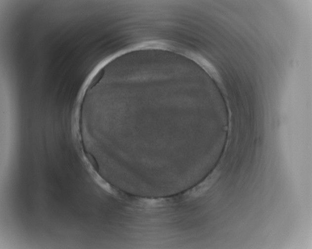 X0000111160816200907141400