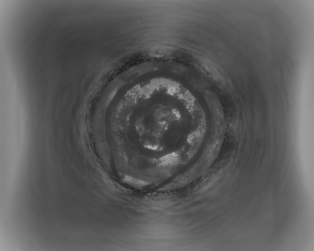 X0000111160817200907141359