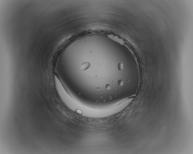 X0000111160824200907141359