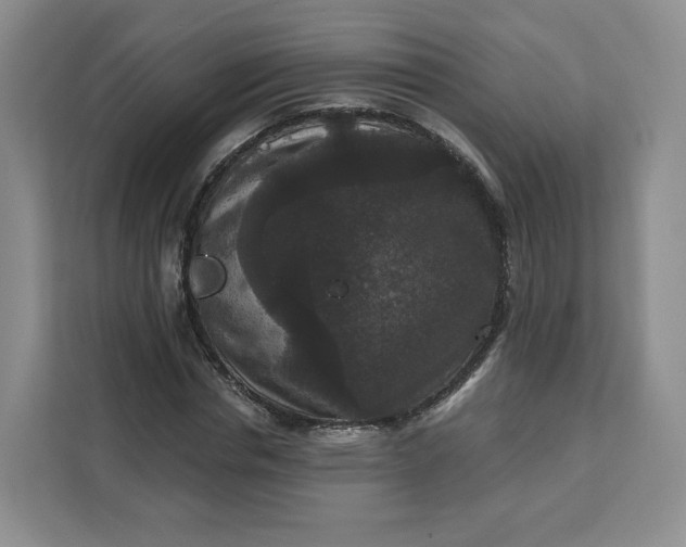 X0000111160826200907141359
