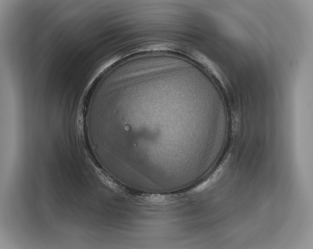 X0000111160827200907141359