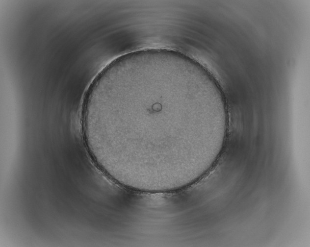 X0000111160828200907141359