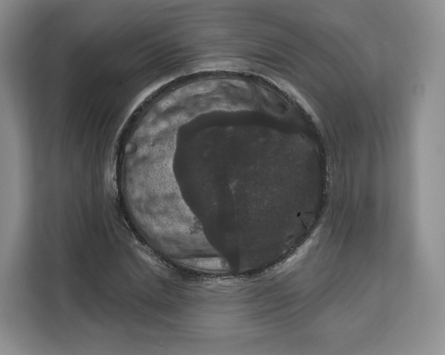 X0000111160830200907141359
