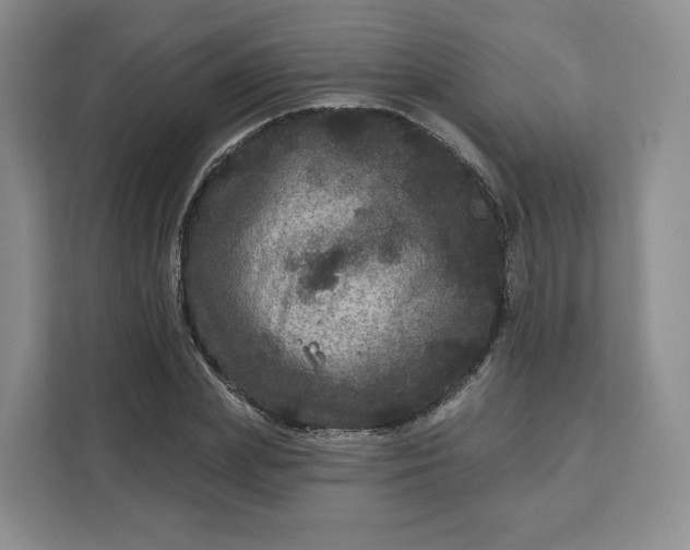 X0000111160831200907141359