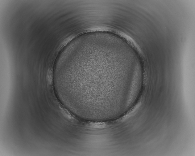 X0000111160833200907141359