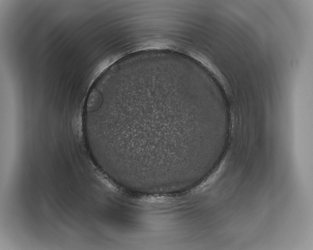 X0000111160834200907141400