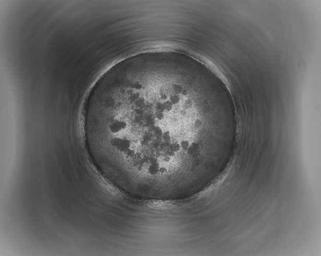 X0000111160835200907141400