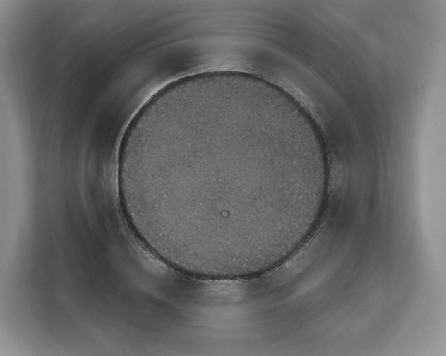 X0000111160836200907141400