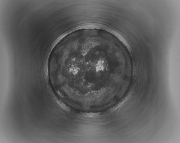 X0000111160837200907141400