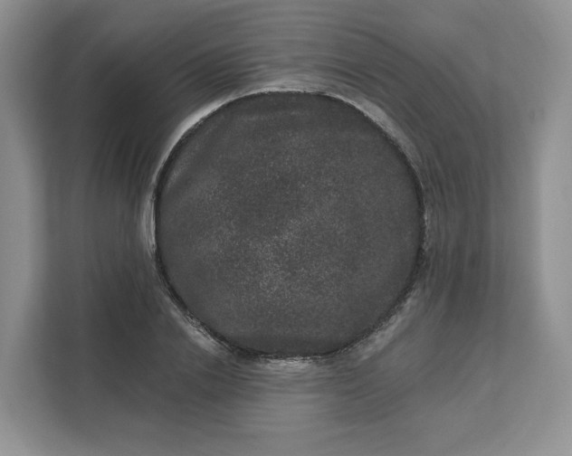 X0000111160838200907141400