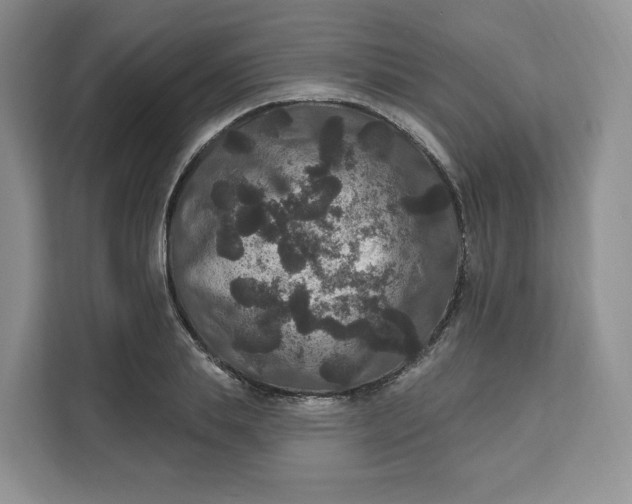 X0000111160839200907141400