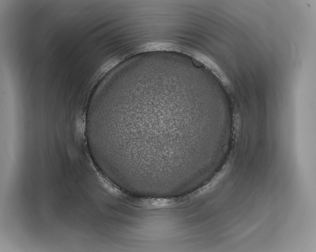 X0000111160841200907141400