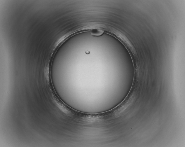 X0000111160842200907141400