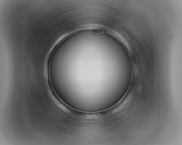 X0000111160843200907141400