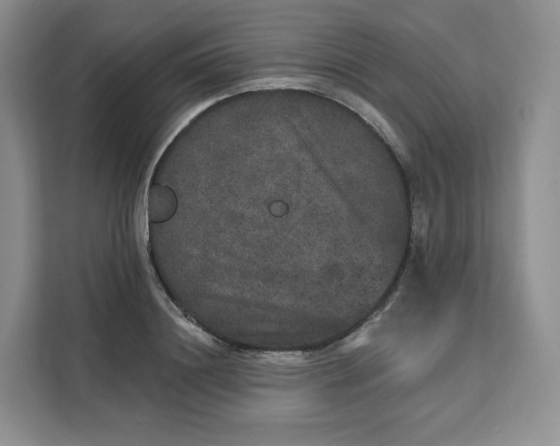 X0000111160844200907141400