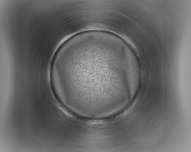 X0000111160846200907141400