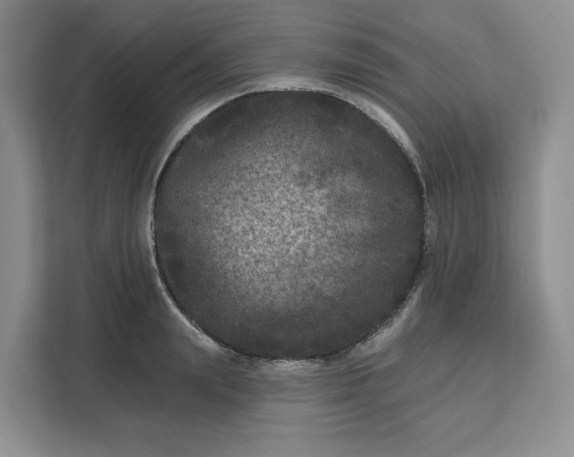 X0000111160847200907141400