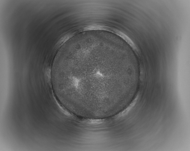 X0000111160849200907141400