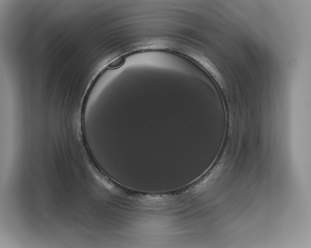 X0000111160850200907141400
