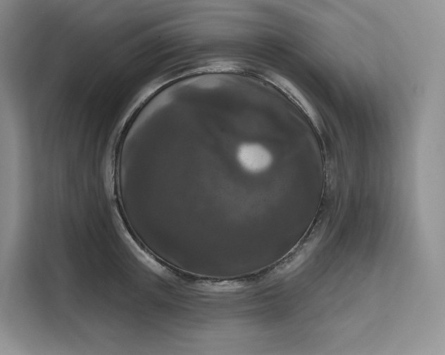 X0000111160851200907141400