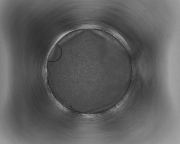 X0000111160852200907141400