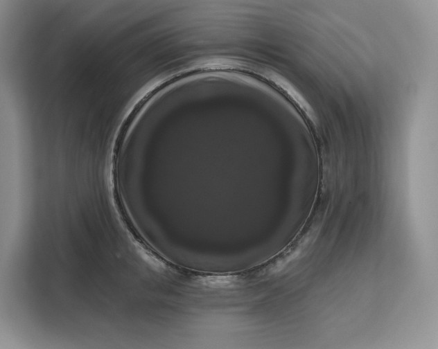 X0000111160853200907141400