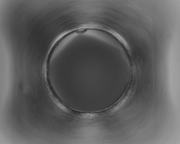 X0000111160854200907141400