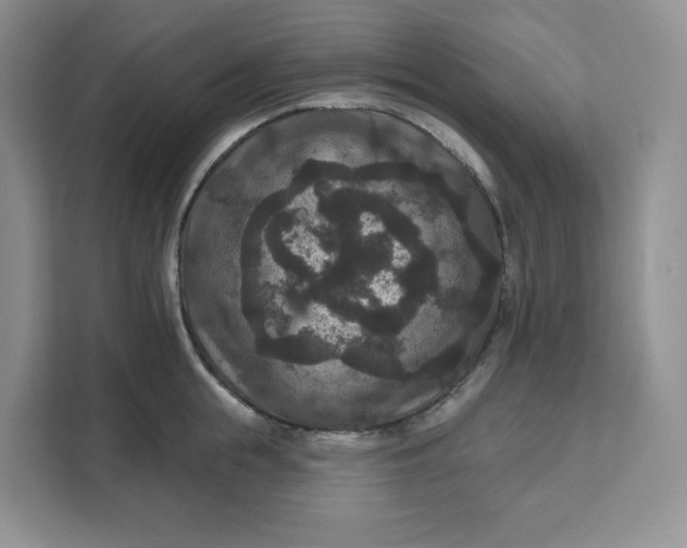 X0000111160855200907141400