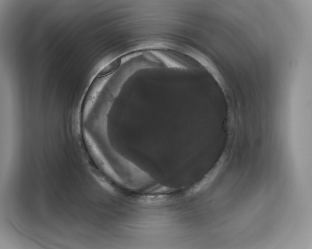 X0000111160858200907141400