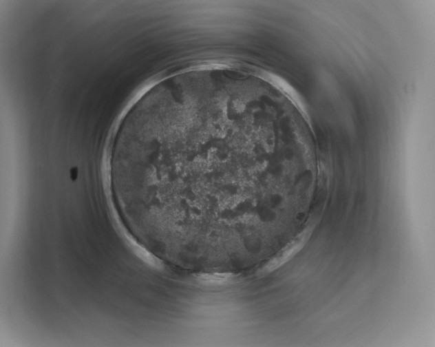 X0000111160859200907141400