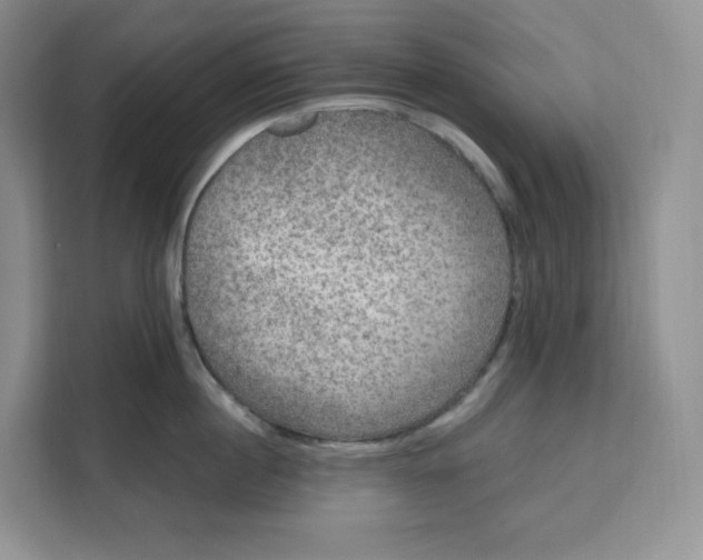 X0000111160860200907141400