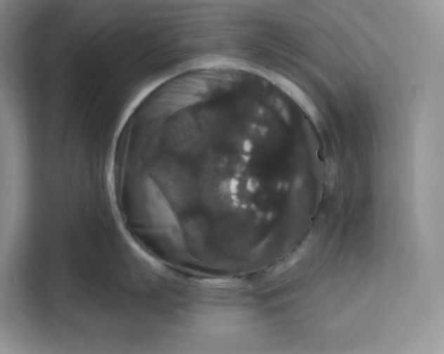 X0000111160863200907141400
