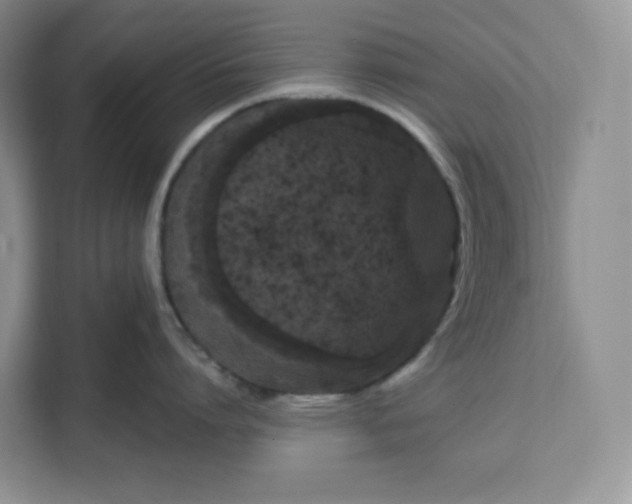 X0000111160864200907141400