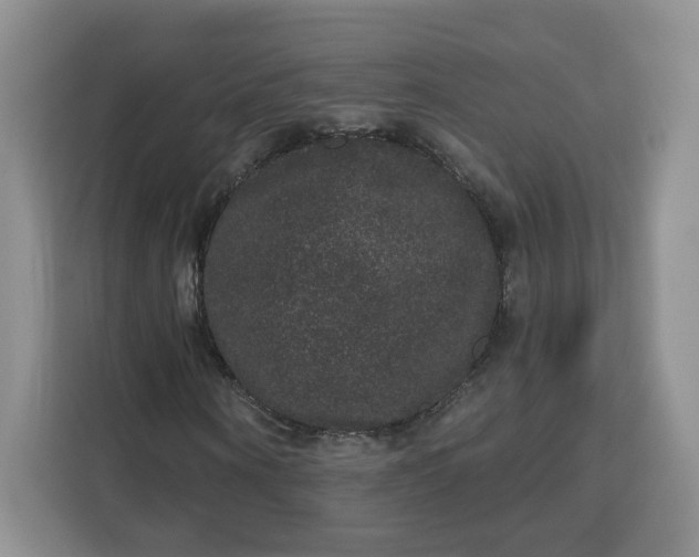 X0000111160866200907141359