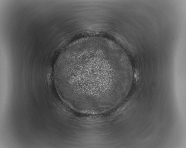 X0000111160867200907141359