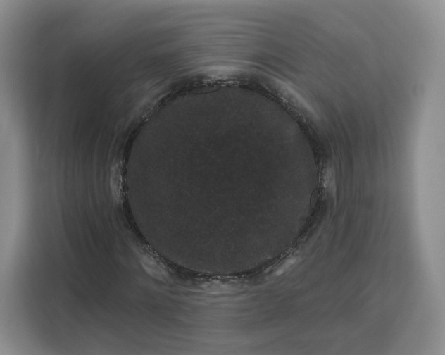 X0000111160868200907141359