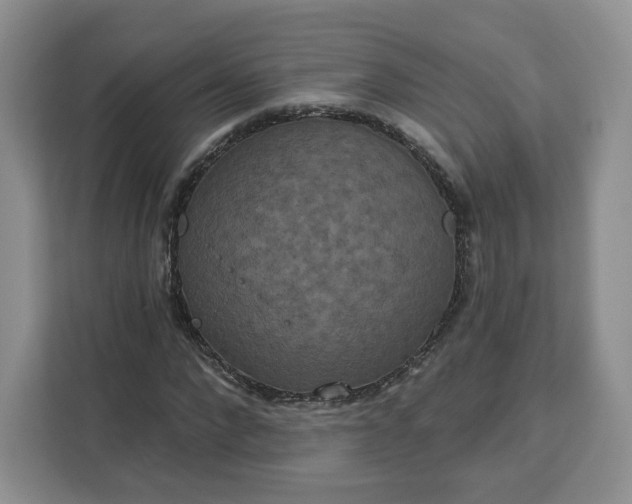 X0000111160872200907141359