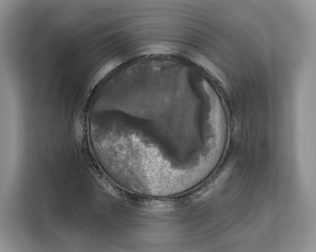 X0000111160874200907141359