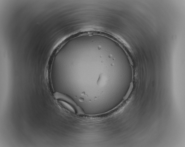 X0000111160877200907141359