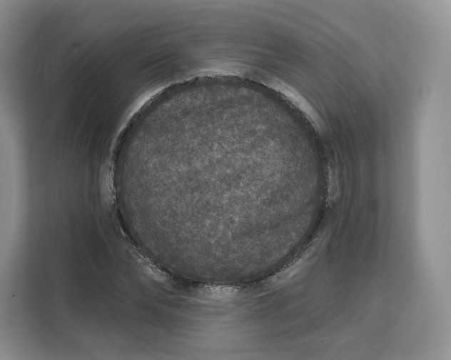 X0000111160878200907141359