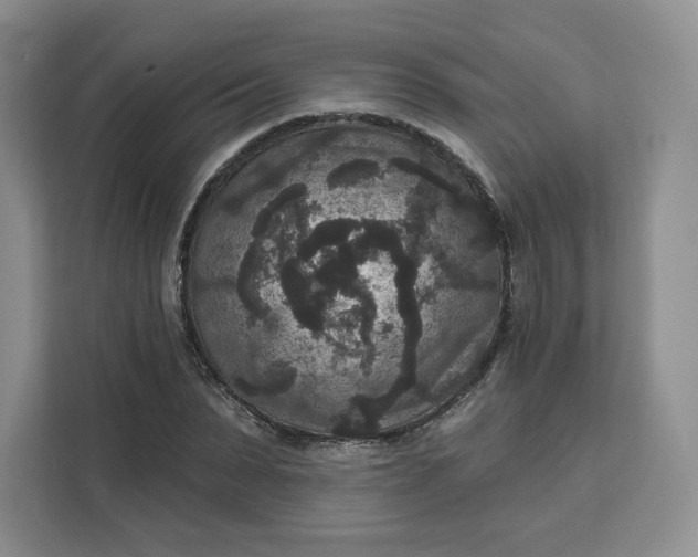 X0000111160879200907141359