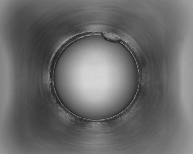 X0000111160880200907141359