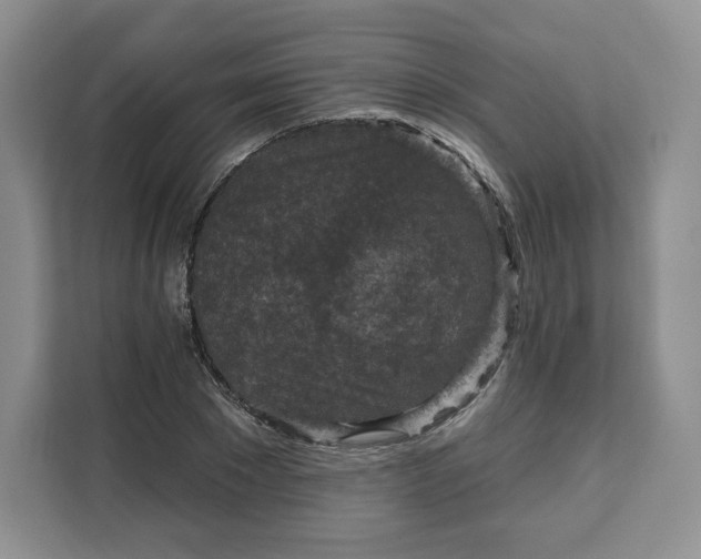 X0000111160881200907141359